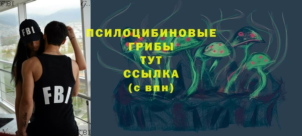 apvp Алзамай