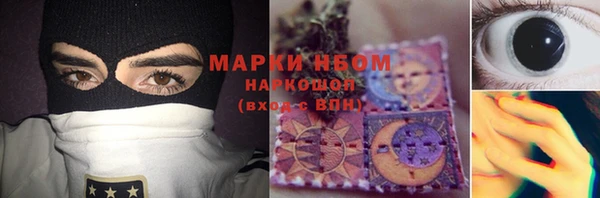 apvp Алзамай