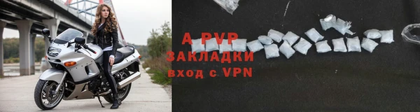 apvp Алзамай