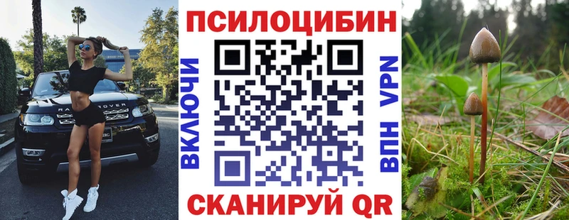 где купить наркотик Ханты-Мансийск ссылка на мегу как зайти Псилоцибиновые грибы Psilocybine cubensis